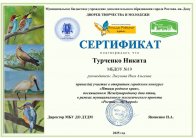 img (10)